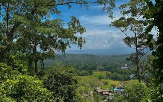 🌿 මොණරාගල – ජීලෝන් කන්ද ආසන්නයේ පිහිටා ඇති සුන්දර පරිසරයක ඉඩමක් විකිණීමට! 🌿